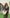 Damen Leinenhose Weites Bein